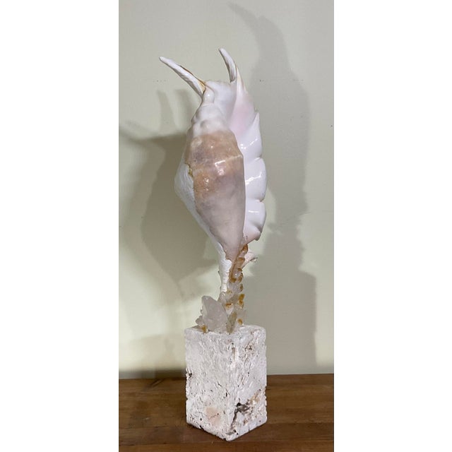 Gemstone Exquisite Fine Art Shell & Crystal Sculpture by Joseph Malekan For Sale - Image 7 of 15