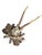 Cabin Roe Deer Trophy 221 Black Forest Antlers Mount For Sale - Image 3 of 7