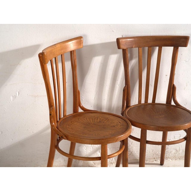 A set of two antique chairs in bentwood, with a curved crest rail over vertical splats and a moulded board seat....