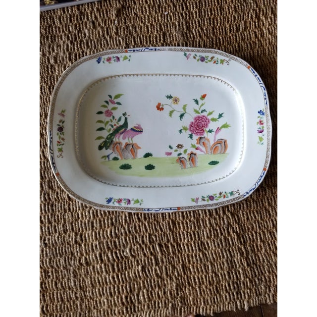 Early 19th Century Extra Large Early 19th C Coalport Peacock Pattern Platter For Sale - Image 5 of 5
