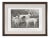 Cassell Dogs; Fox Terrier, Framed Artwork For Sale