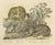 Karl Joseph Brodtmann, Jaguar & Cougar, 1816, Lithograph For Sale - Image 3 of 9