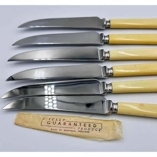 Vintage Philip Ashberry & Sons Sheffield England Celluloid Dinner Knife Set - 6pc For Sale In Palm Springs - Image 6 of 11