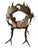 Antique German antler Chair.