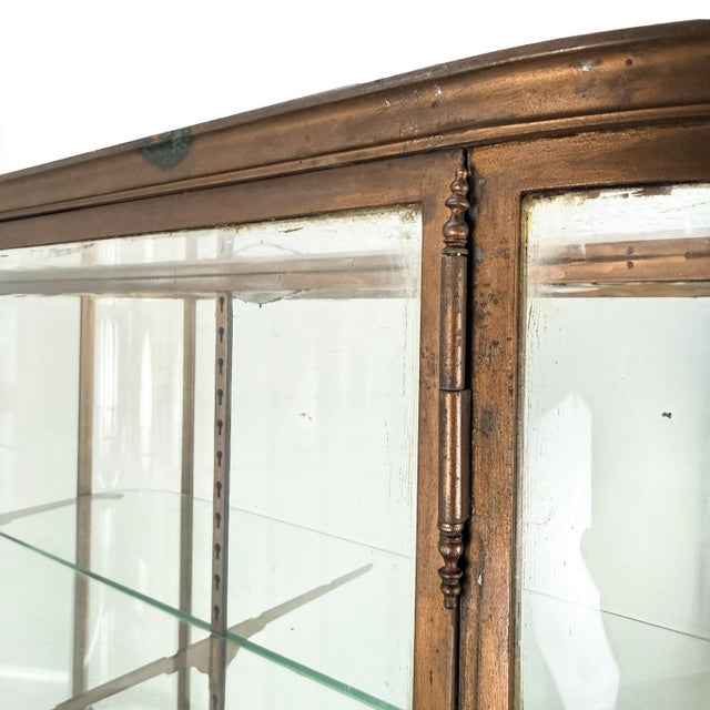 Large Antique Metal Museum Display Cabinet with Curved Glass, 1890s For Sale - Image 9 of 18