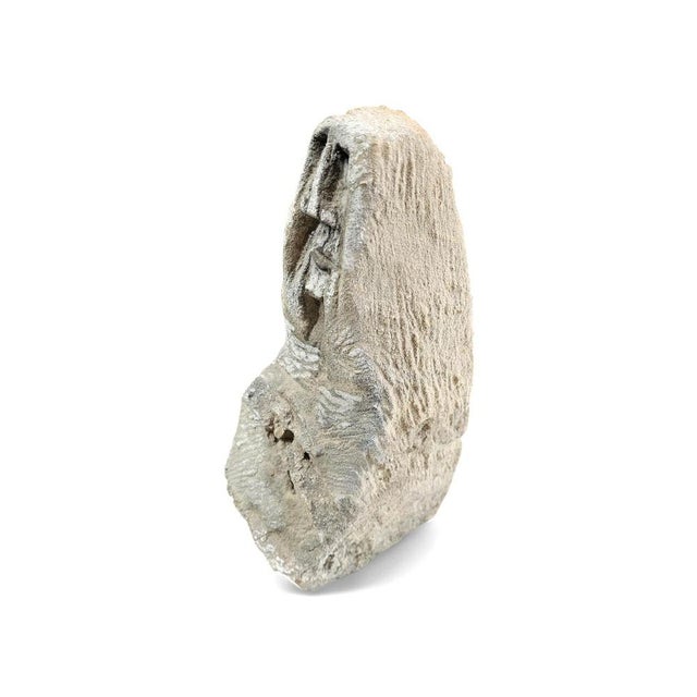 Stone Sculptures from Ad Maas, Set of 2 For Sale - Image 5 of 13