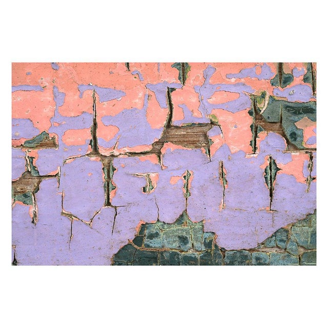 Vintage Patinated Wooden Shutters For Sale - Image 4 of 5