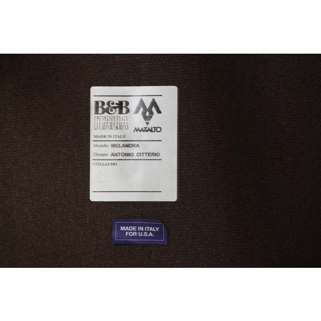 Beige B&b Italia Melandra Dining Chairs by Antonio Citterio, Set of 12 For Sale - Image 8 of 9