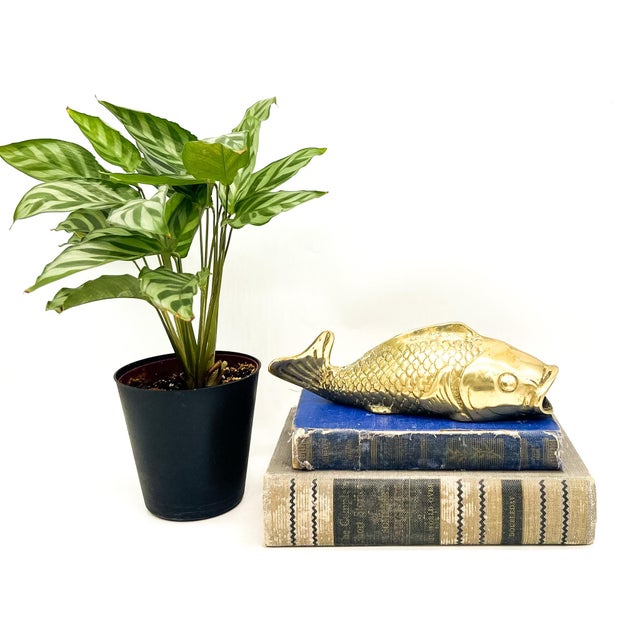 Brilliant, solid brass fish wall pocket with beautifully detailed scales, fins, and expressive features. The open mouth...