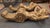 Metal Late 19th Century Architectural Victorian Cherub Corbels - a Pair For Sale - Image 7 of 12