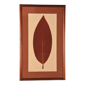 "Magnolia Leaf Ii", by Milford