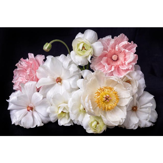 Whispers of Spring Contemporary Photograph For Sale