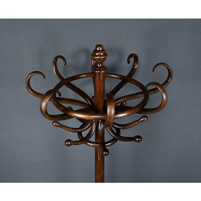 Early 20th Century Parrot Coat Rack in Beechwood, 1890s For Sale - Image 4 of 18