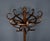 Early 20th Century Parrot Coat Rack in Beechwood, 1890s For Sale - Image 4 of 18
