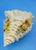 White Antique Shell-Shaped Porcelain Centrepiece from C.G Schierholz & Sohn Manufactory of Plaue, Germany, 1800s For Sale - Image 8 of 18