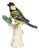 Porcelain Great Tit on a Tree Stump from Meissen, 1920s For Sale
