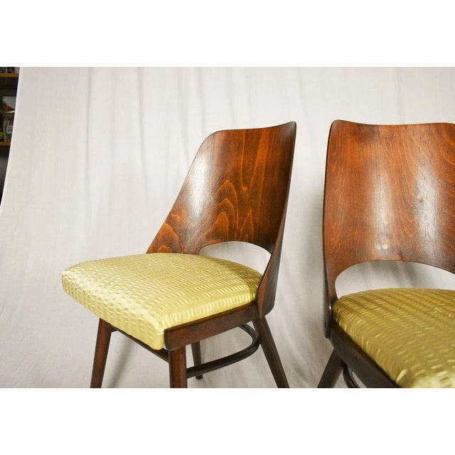 Wood Expo 58 Dining Chairs by Oswald Haerdtl for Ton, 1950s, Set of 4 For Sale - Image 7 of 18