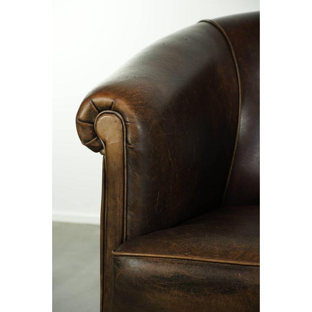 Vintage Dark Sheepskin Club Armchair For Sale - Image 10 of 13