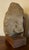 Stone Antique 10th / 11th Century Buff Sandstone Carving - Head or Bust of a Deity - Buddha or a Bodhisattva For Sale - Image 7 of 15