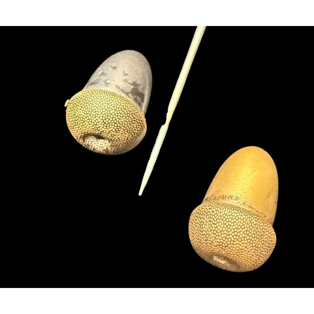 White Antique Edwardian Mother-of-Pearl Clover Hatpins With Cut Glass & Original Acorn Caps — Pair, C. 1895-1915 For Sale - Image 8 of 12