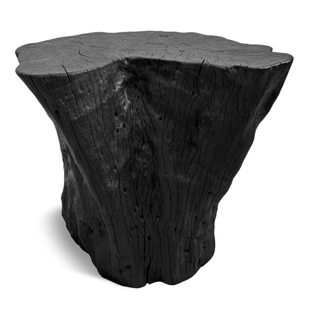 Black Natural Form Stump Side Table / Stool For Sale - Image 4 of 5