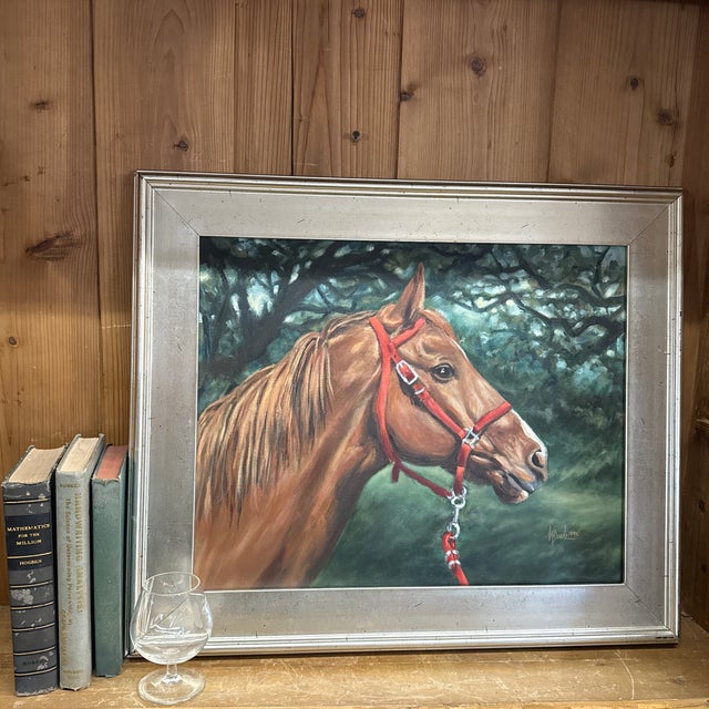 Excellent Vintage Portrait of Chestnut Horse With Red Halter 16” X 20 “ 1995 For Sale - Image 6 of 6