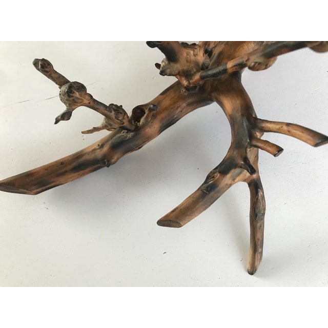Table Lamp in Tree Root, 1970s For Sale - Image 12 of 18