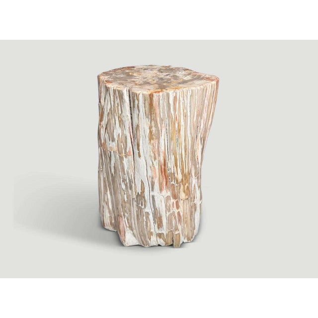 Contemporary Andrianna Shamaris Coral Toned Ancient Petrified Wood Side Table For Sale - Image 3 of 5