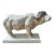 Meissen Atelier X Hugo Boss Maximilian Hagstotz Buffalo Figure (Large 16” Limited Edition “Big Five” Store Display Piece) For Sale