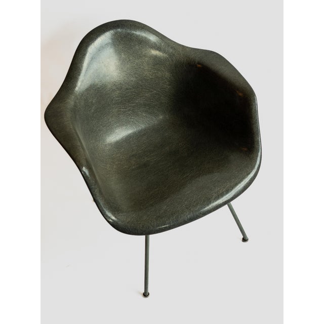 Eames Eames Herman Miller Zenith Lax Rope Edge X-Base Elephant Hide Gray Chair 1950s For Sale - Image 4 of 8