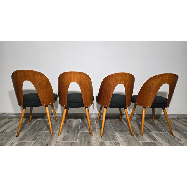 Dining Chairs by Antonin Suman, 1960s, Set of 4 For Sale - Image 14 of 18