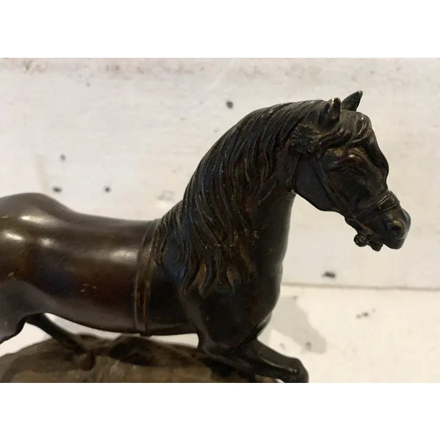 Bronze Horse with Brown Patina on Base, 20th Century For Sale - Image 6 of 12