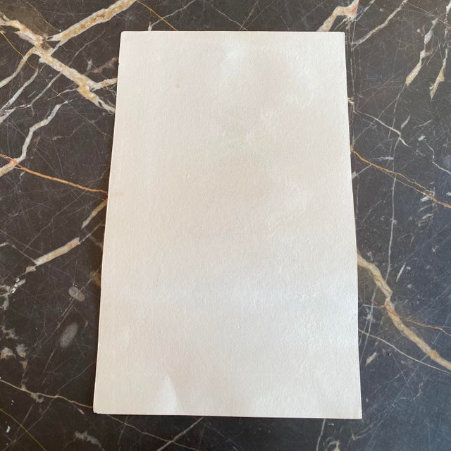 18th Century French Antique 18th Century “L’Oiseau De Tempete” Bird Engraving Hand Colored Artwork For Sale - Image 5 of 5