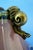 20th Century Studio Glass Vase with Silver Metal Snail by Samuel J Herman for Val Saint Lambert, 1970s For Sale - Image 18 of 18