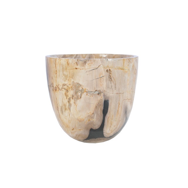 Contemporary Petrified Wood Plant Pot by Xyleia Petrified Wood For Sale - Image 3 of 6