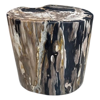Andrianna Shamaris Impressive Ancient Petrified Wood Side Table For Sale