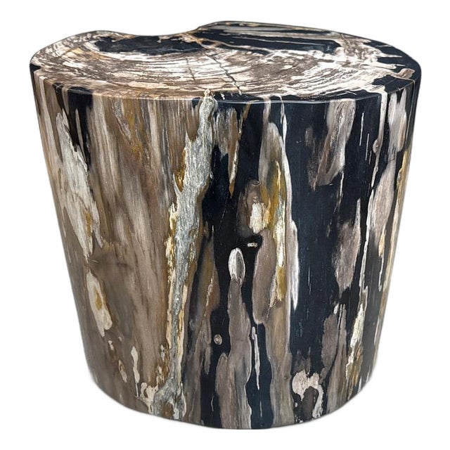 Andrianna Shamaris Impressive Ancient Petrified Wood Side Table For Sale
