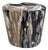 Andrianna Shamaris Impressive Ancient Petrified Wood Side Table For Sale