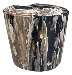 Andrianna Shamaris Impressive Ancient Petrified Wood Side Table