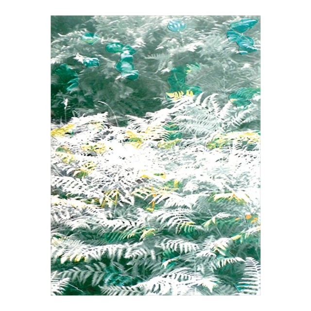 Ferns Denatured Series, 2015 For Sale