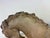 Mid-Century Vintage Plaster Horse Sculpture For Sale - Image 9 of 10