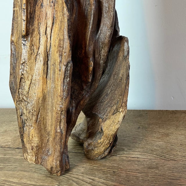 Tan Folk Art Naïve Sculpture in Root Wood, 1800s For Sale - Image 8 of 16