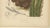 Paper Hoola van Nooten, Salak Palm Botanical, 1880, Chromolithograph For Sale - Image 7 of 10