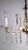 Antique Maria Theresia Chandelier from Palwa, 1950s For Sale - Image 4 of 13