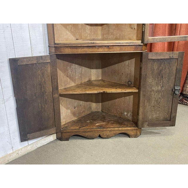 19th Century English Corner Cabinet in Oak, Mahogany, and Fir For Sale - Image 9 of 13