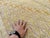 2000 - 2009 Handmade Mushwani Kilim Rug Muted Gold Wool Hand-Knotted Rug - 6'7" X 9'5" For Sale - Image 5 of 12
