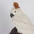 Amusing Carved Hardstone Quartz Cockatoo For Sale - Image 4 of 7
