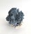 Chinoiserie Natural Blue Coral Specimen Coastal Decor For Sale - Image 3 of 6