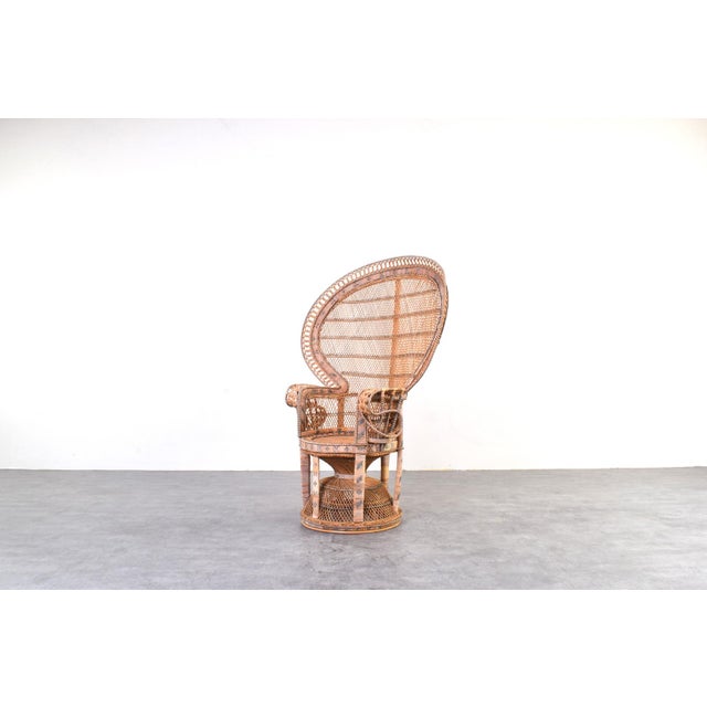 1970s Mid-Century Modern Wicker Peacock Emmanuelle Chair from Kok Maison, 1970s For Sale - Image 5 of 16