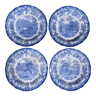 Spode Blue Room Collection Zoological Series Plates, Made in England - Set of 4 For Sale